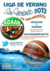 Cartel Liga Verano 2013 San Fernando